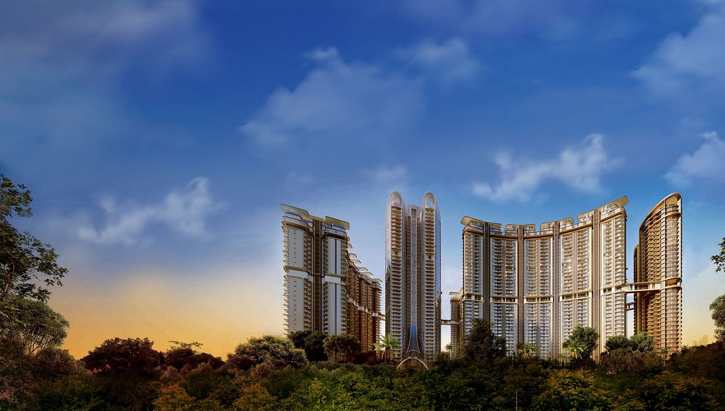 THE AMARYLLIS PHASE 2