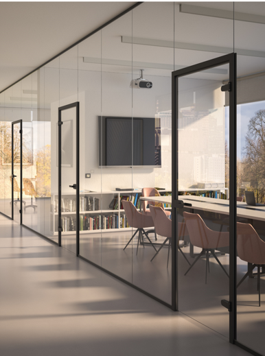 Frameless Glass Door