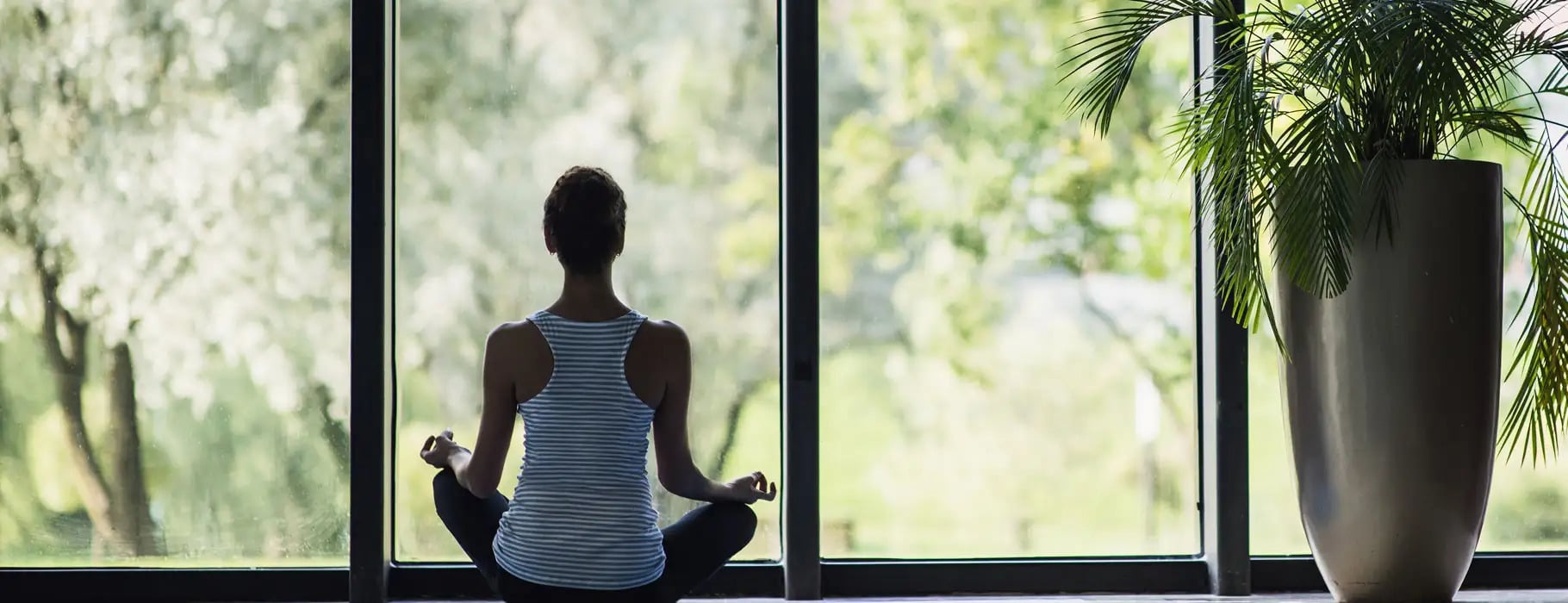 insulated glass unit