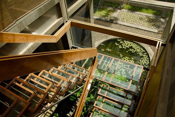 glass staircase