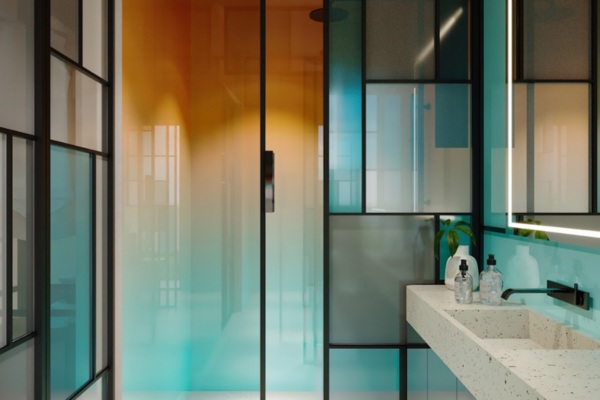 Tinted and clear glass bathroom partitions